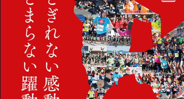 「熊本城マラソン2019」 参加ランナー募集締め切り迫る!